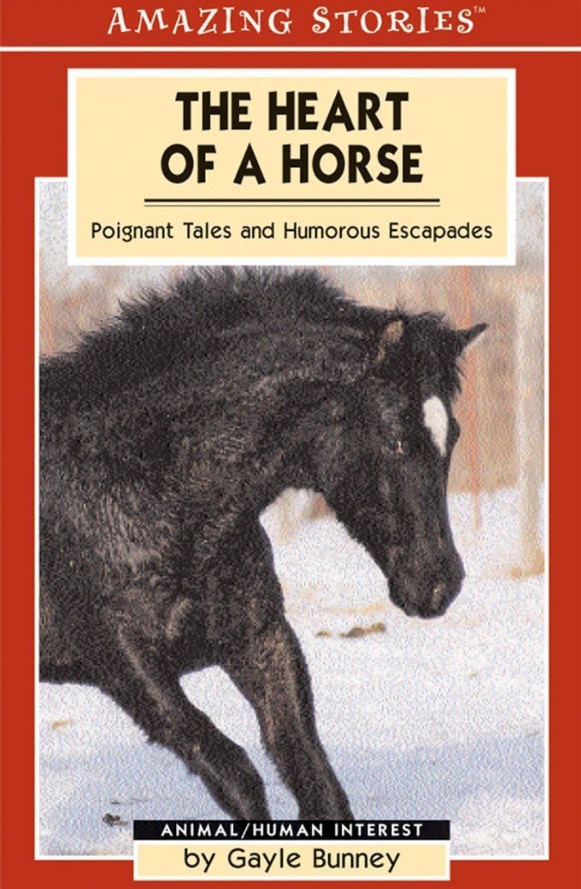 Amazing Stories: The Heart of a Horse: Poignant Tales and Humorous Escapades by Gayle Bunney