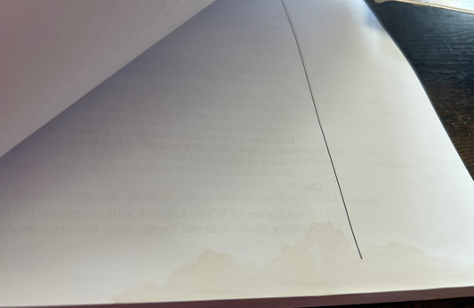 Learning Language Arts Through Literature - Blue Book Bundles