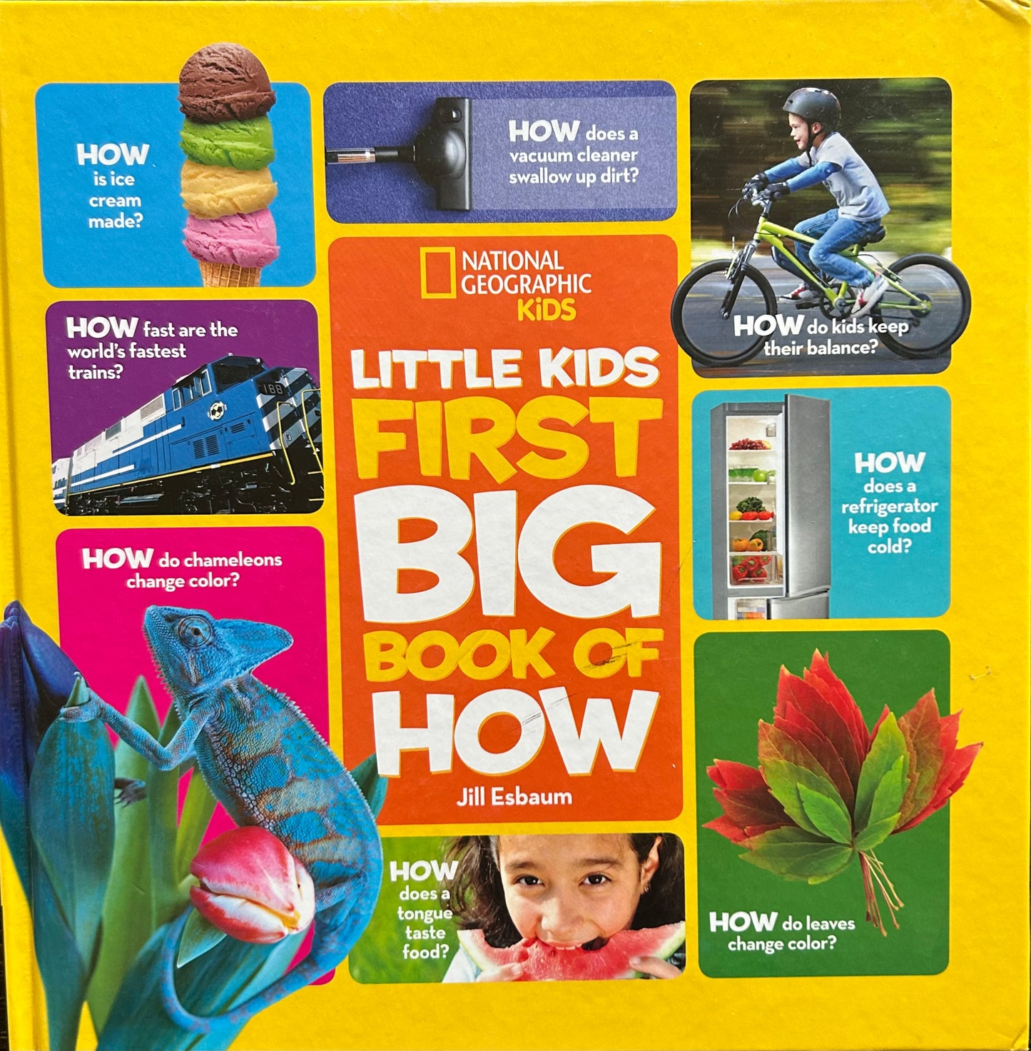 National Geographic Kids Little kids First Big Book of How