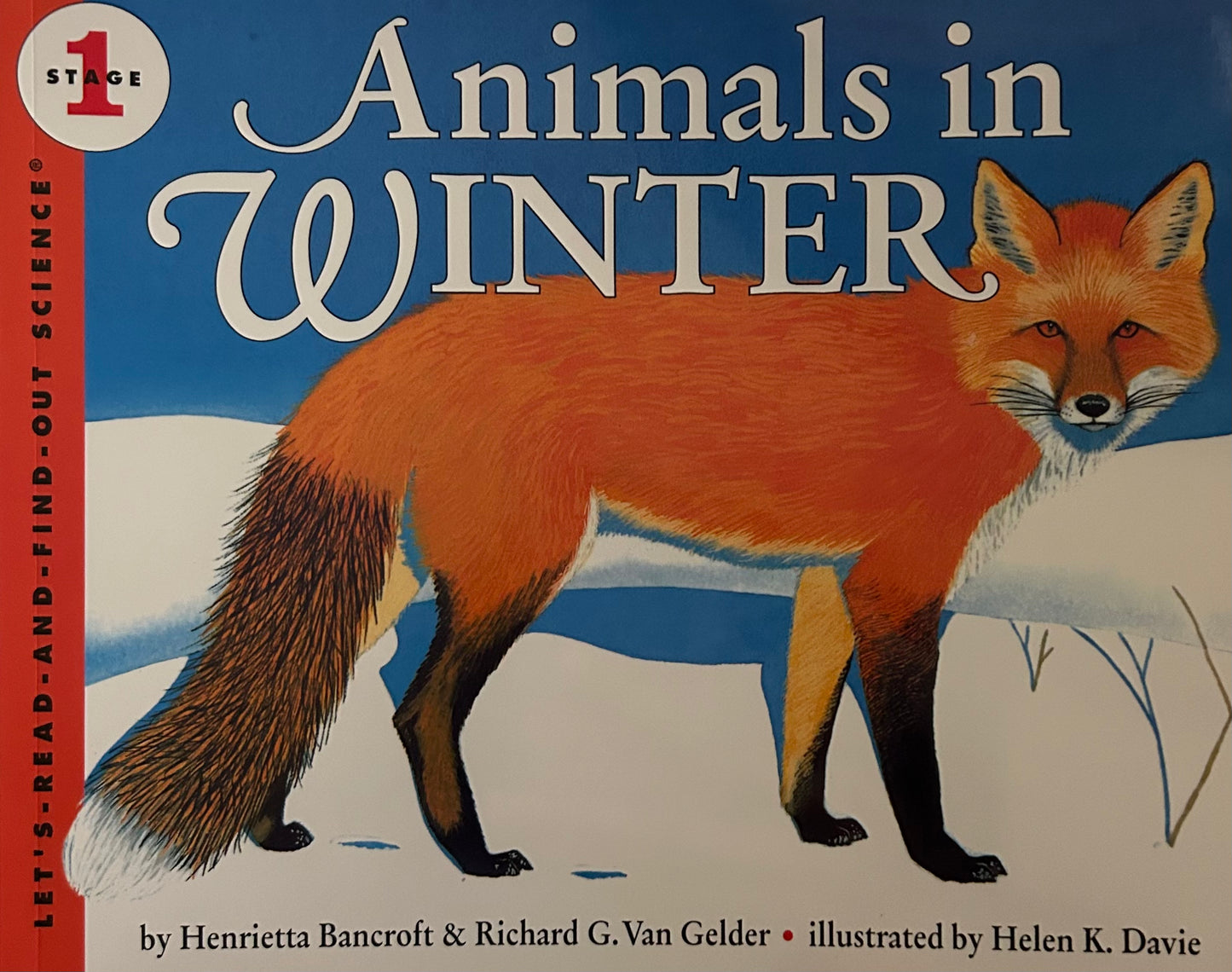 Animals in Winter
