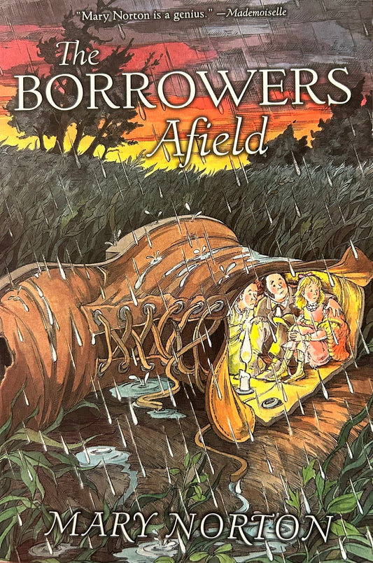 The Borrowers series books by Mary Norton