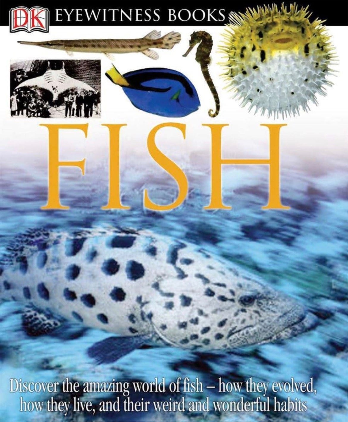 Eyewitness Books: Fish (Hardcover)