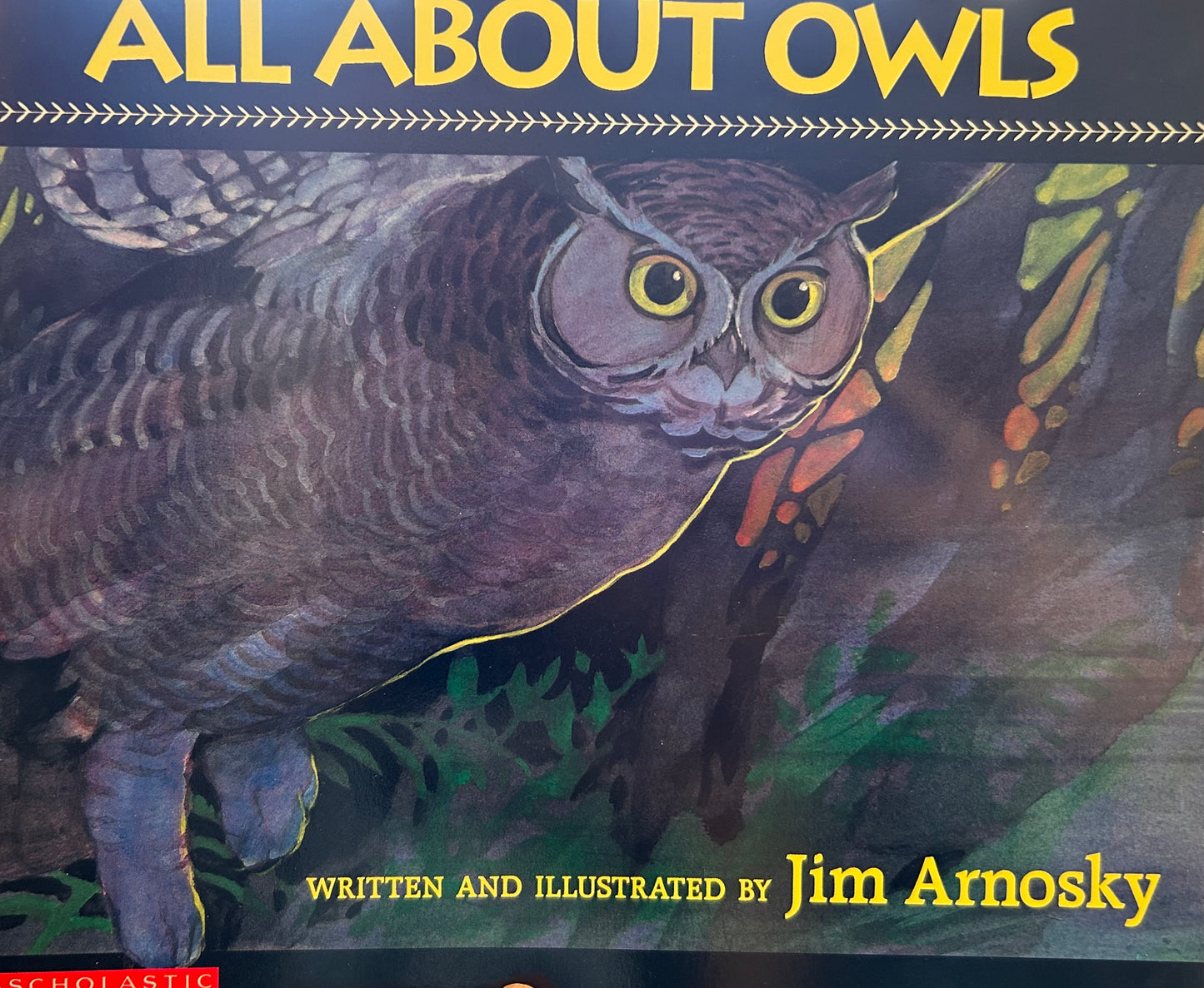 All About Owls by Jim Arnosky