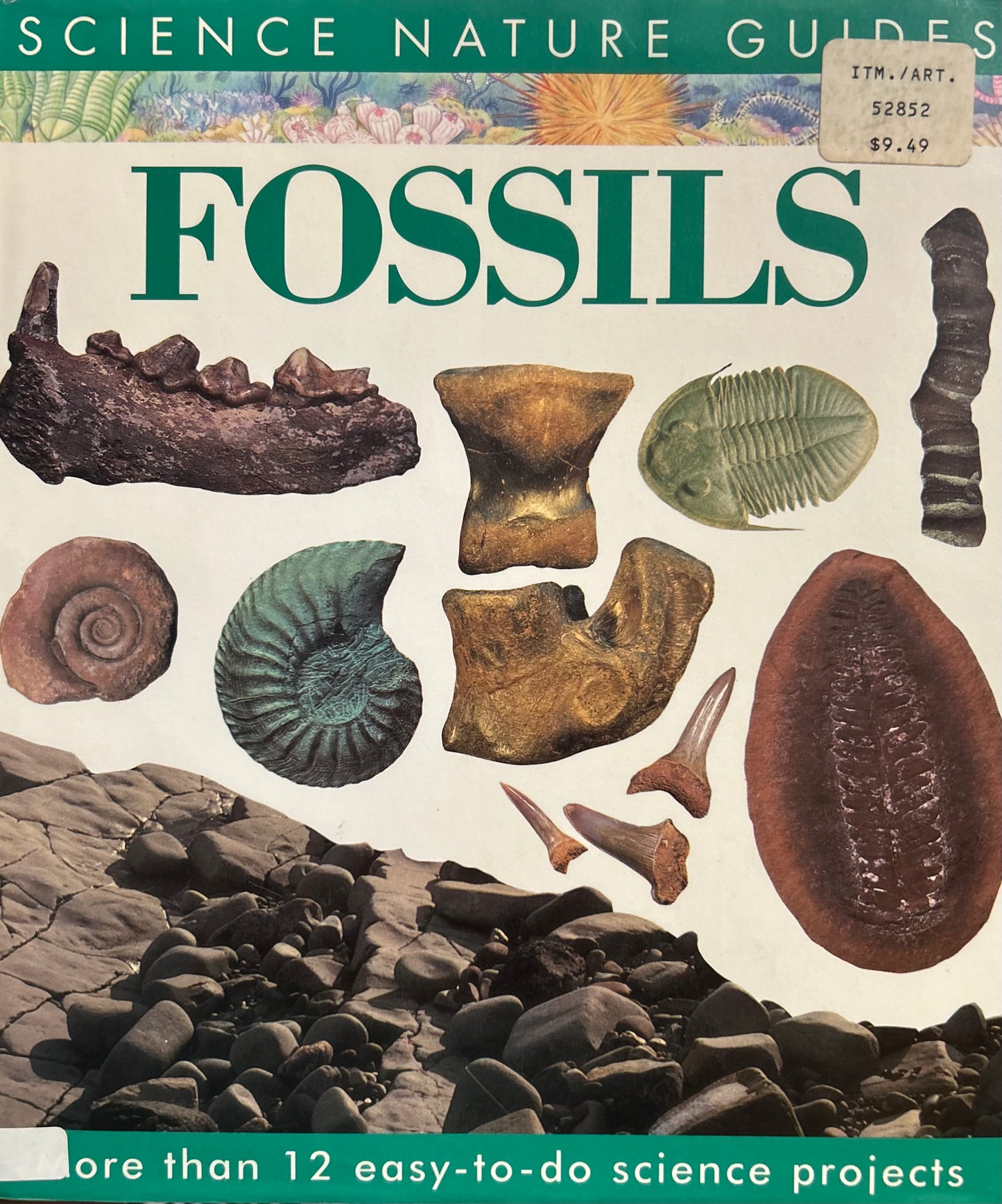 Fossils (Science Nature Guides)