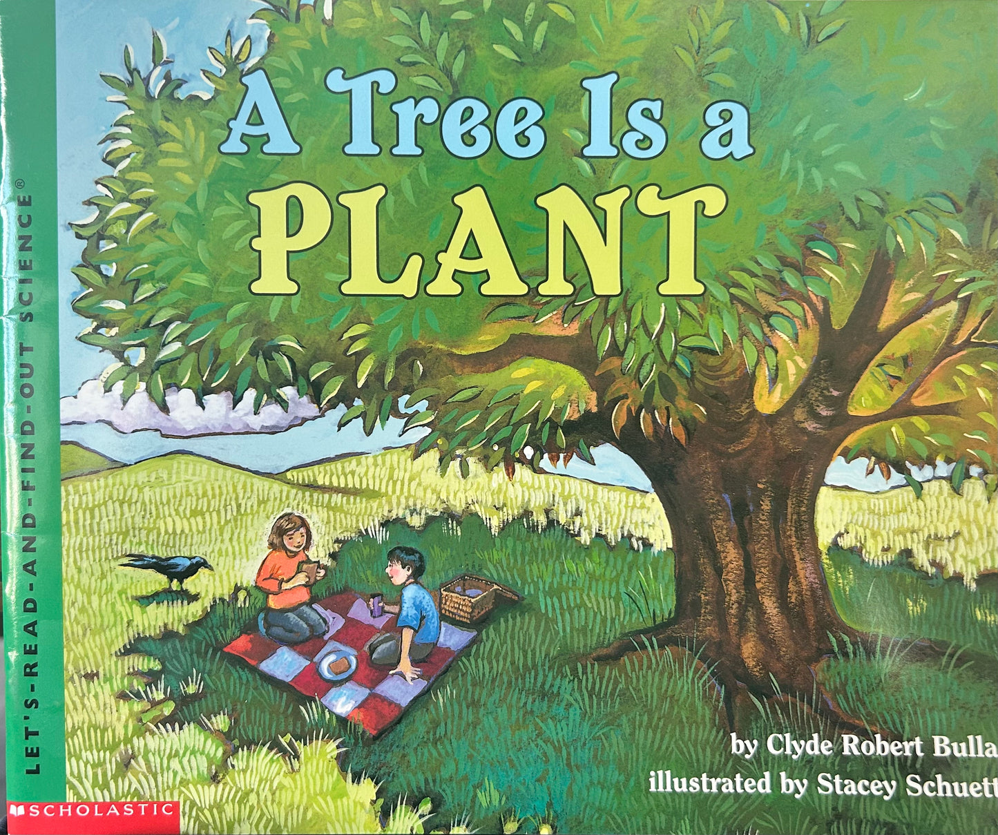 A Tree Is a Plant