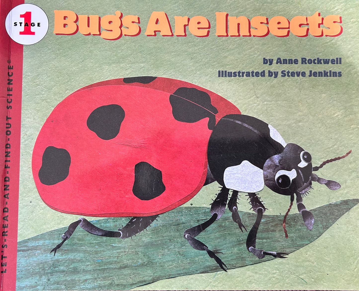 Bugs are Insects