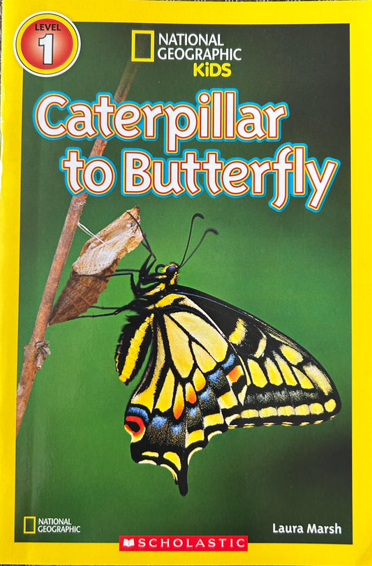 National Geographic Kids: Caterpillar to Butterfly