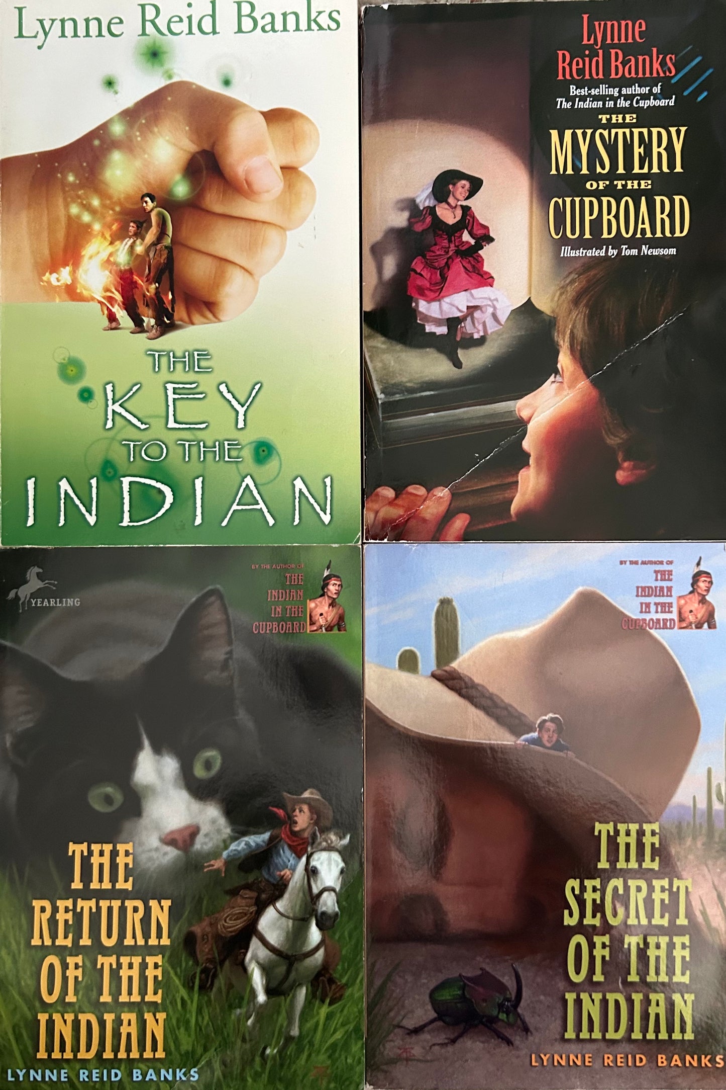 The Indian in the Cupboard series by Lynne Reid Banks (4 books)