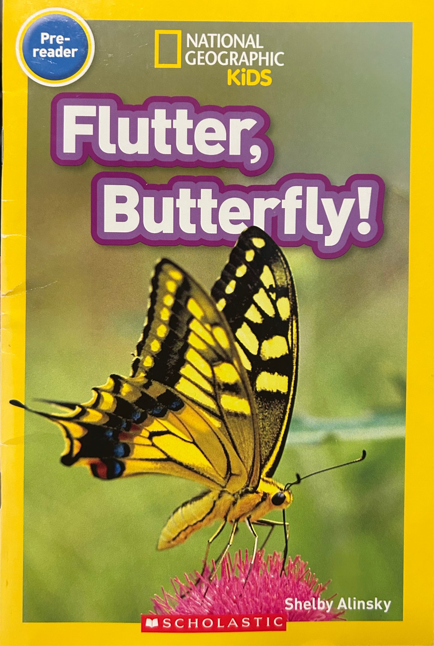 Flutter, Butterfly! by Shelby Alinsky