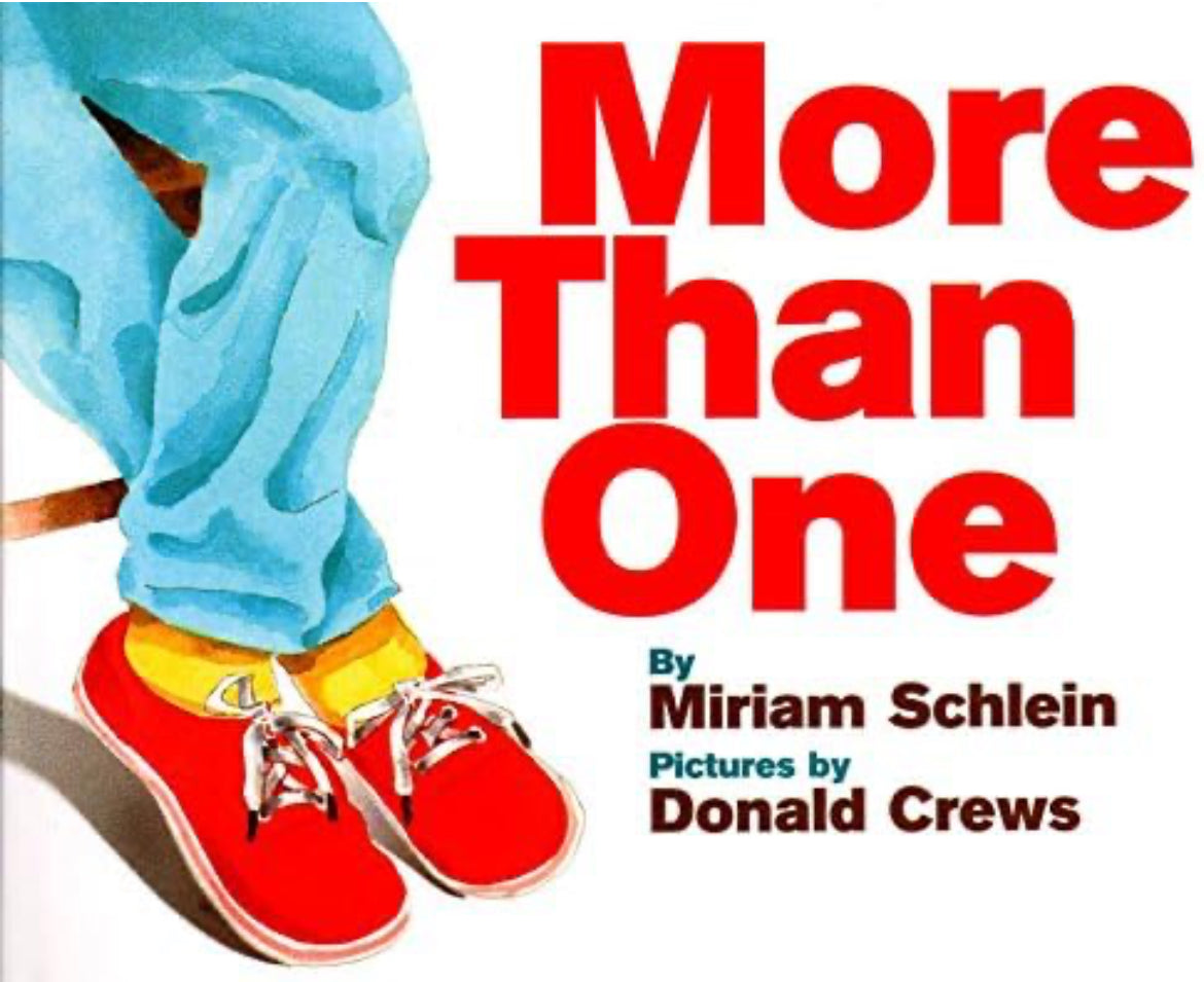 More Than One by Miriam Schlein