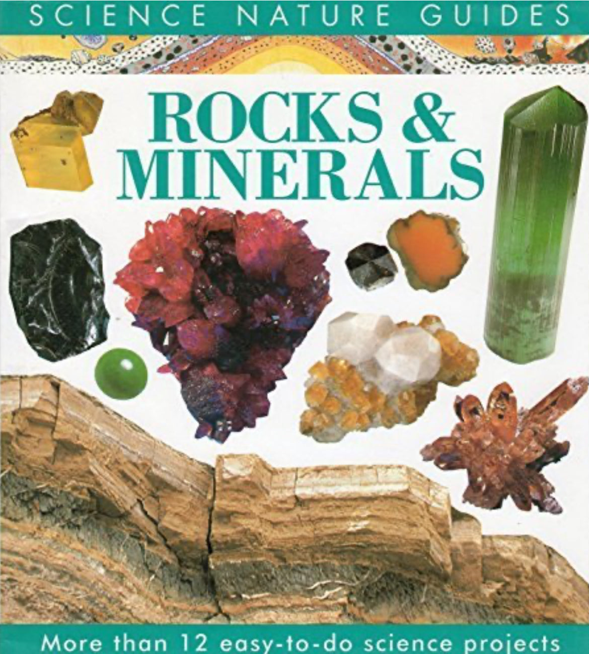 Rocks and Minerals of the World (Science Nature Guides)