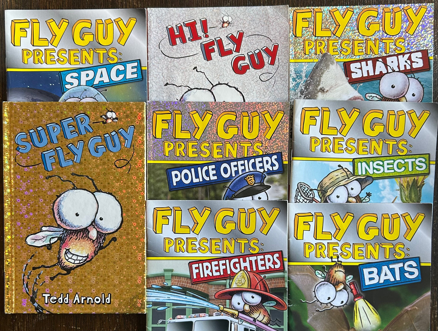 Fly Guy bundle (8 books)