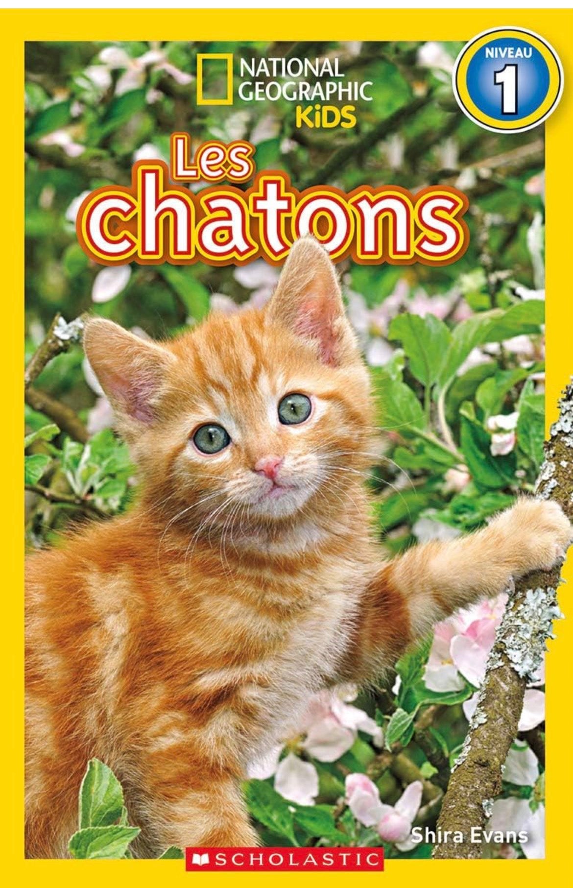National Geographic Kids : Les chatons (niveau 1)