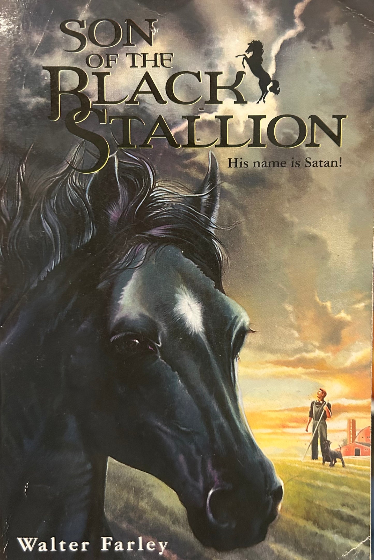Son of The Black Stallion by Walter Farley