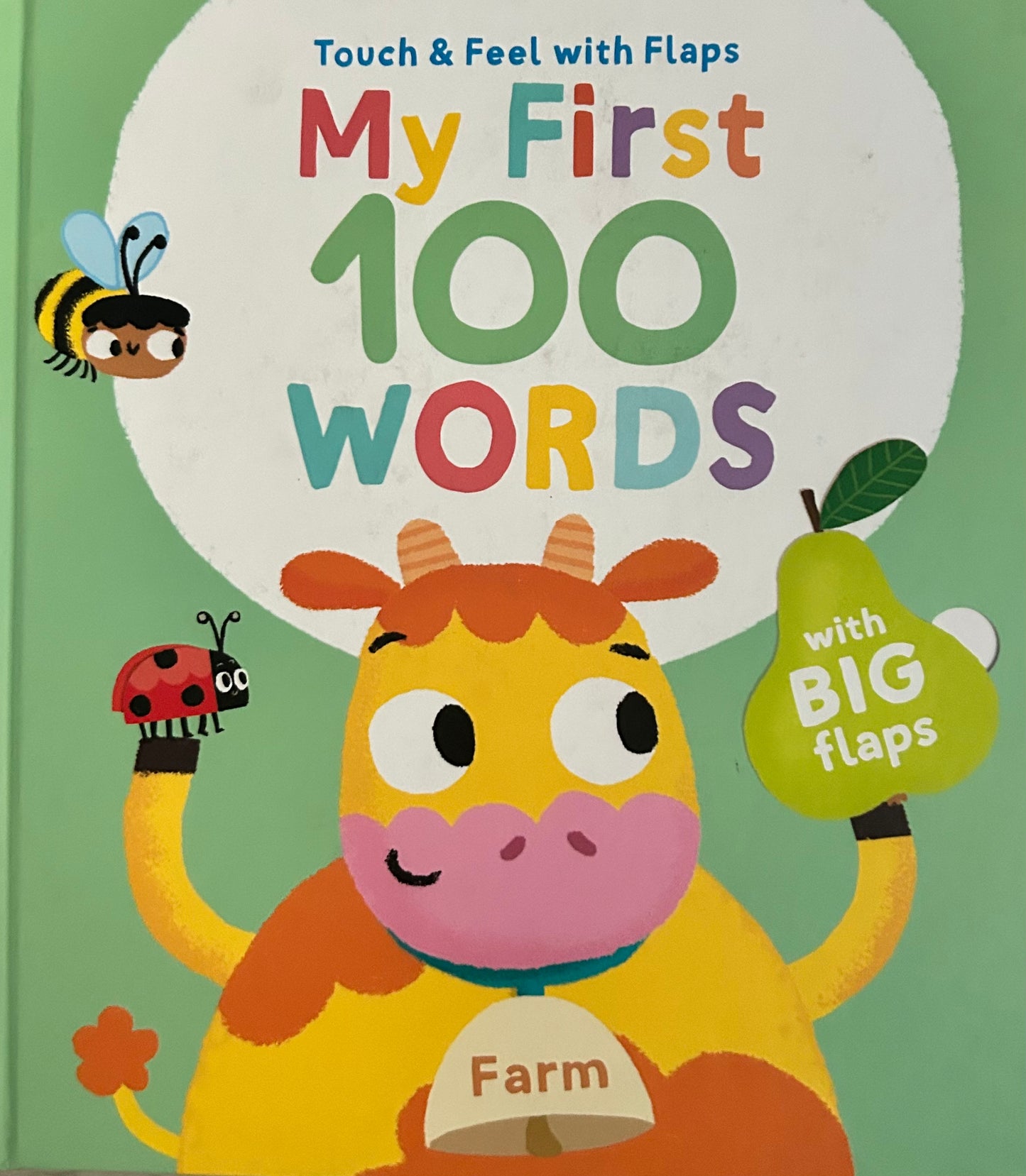 My First 100 Words (Touch and Feel with Flaps)