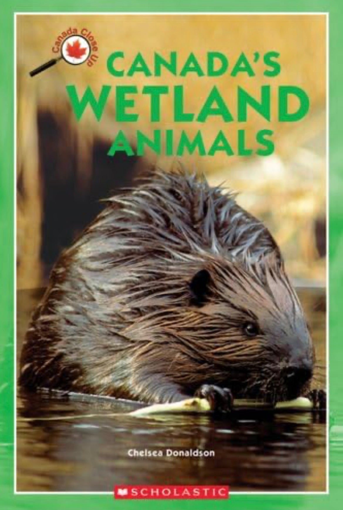 CANADA'S WETLAND ANIMALS by Chelsea Donaldson