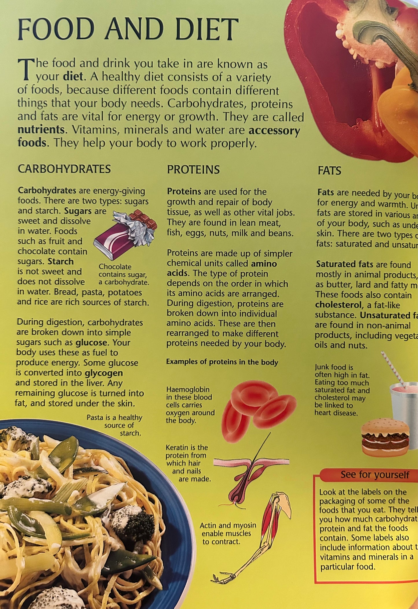 The Usborne Internet-Linked Library of Science Human body