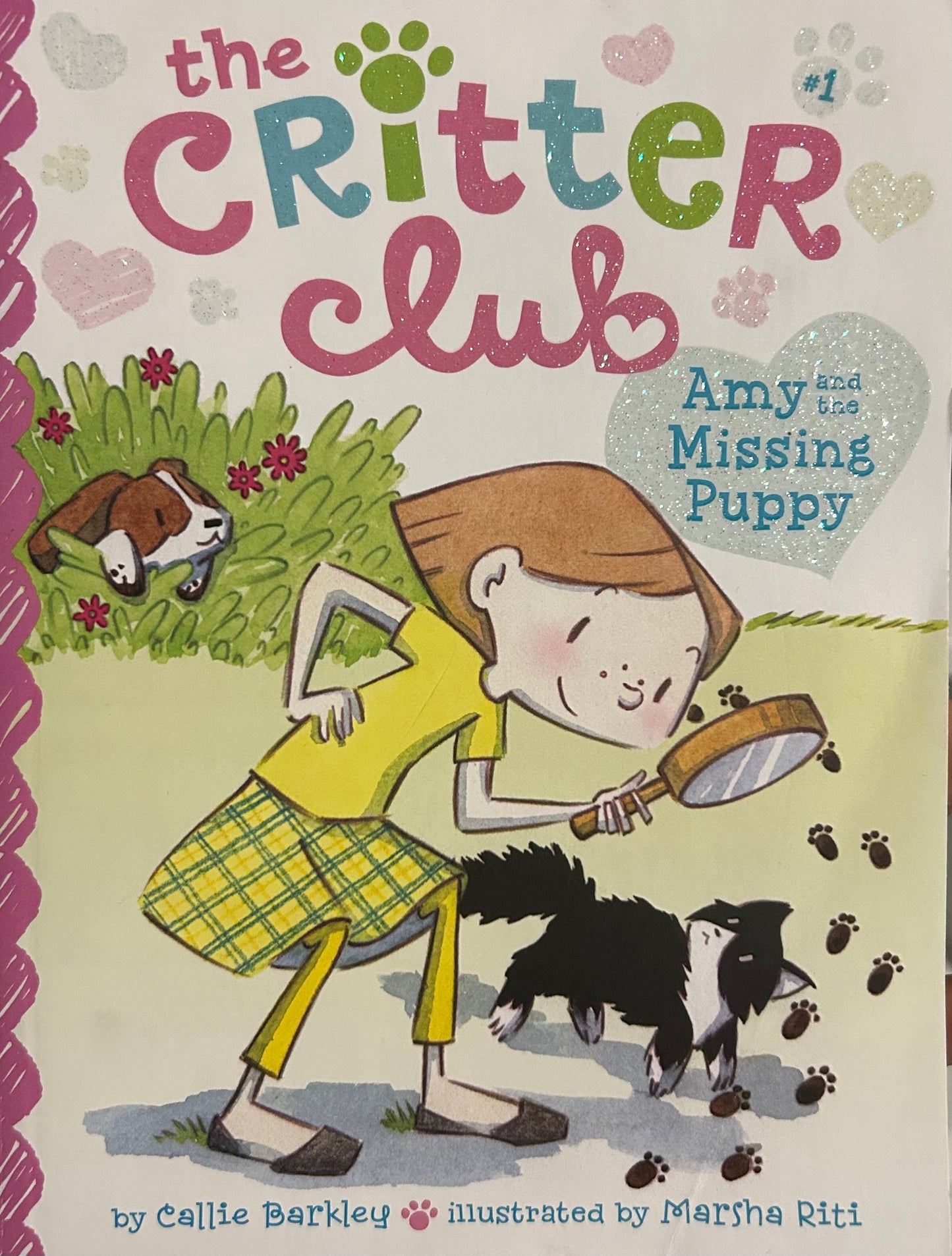 The Critter Club Series by Callie Barkley (15 books)
