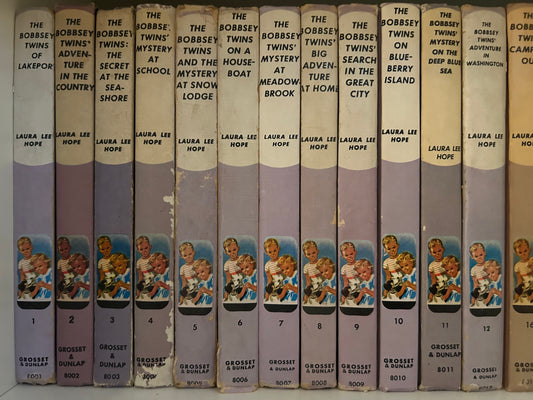 Vintage Bobbsey Twins Books (38 books)