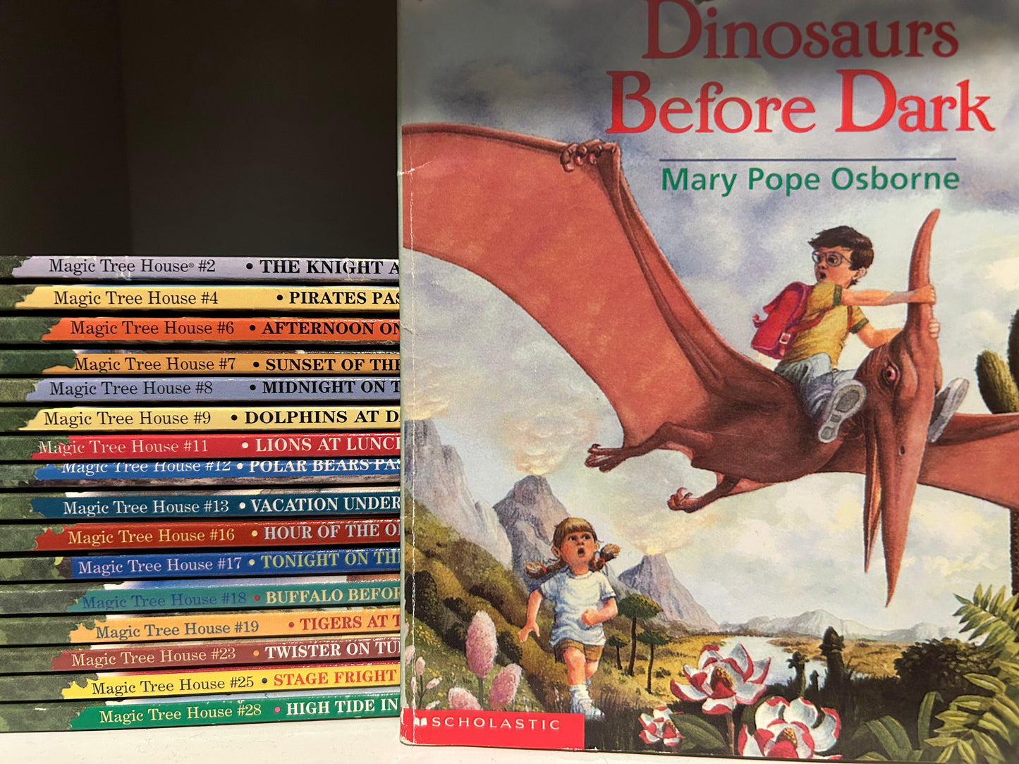 Mystery Bundle: Magic Tree House (10 books)