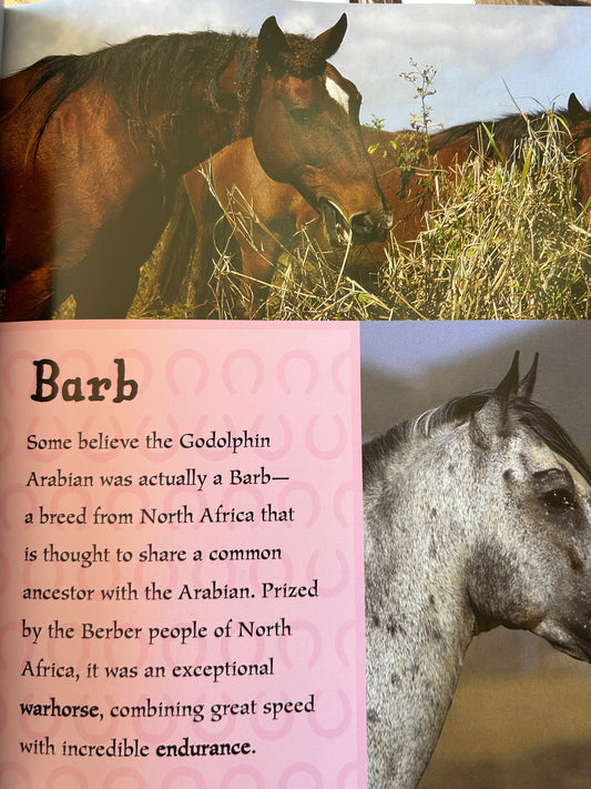 I Love Horses and Ponies, Over 50 Breeds
by Scholastic