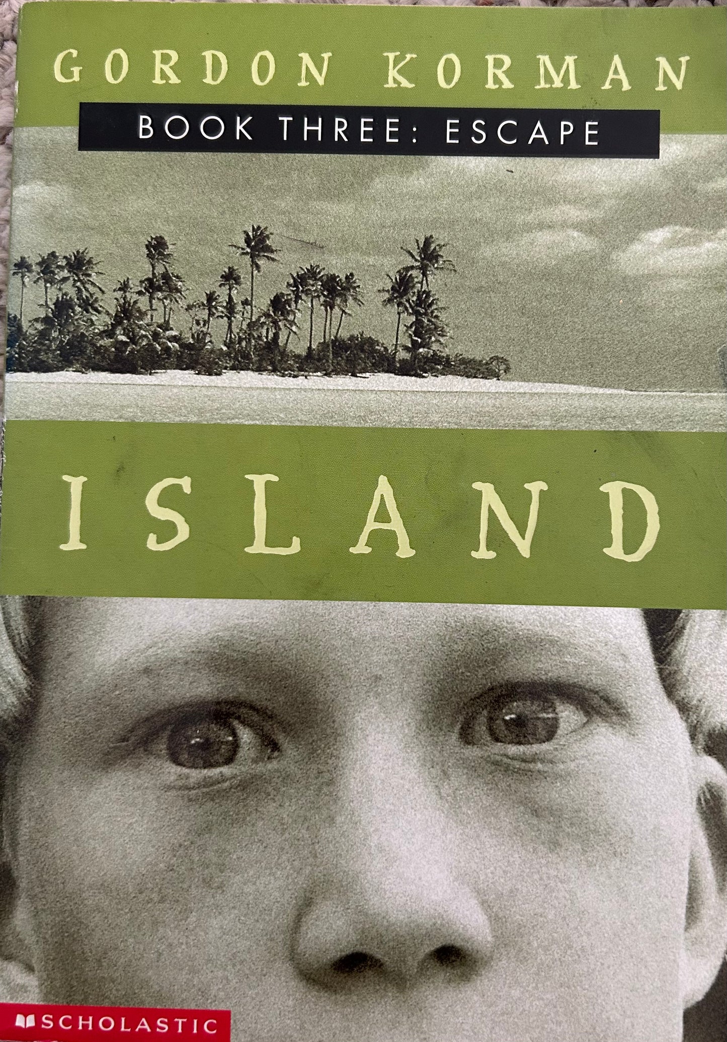 Island series by Gordon Korman