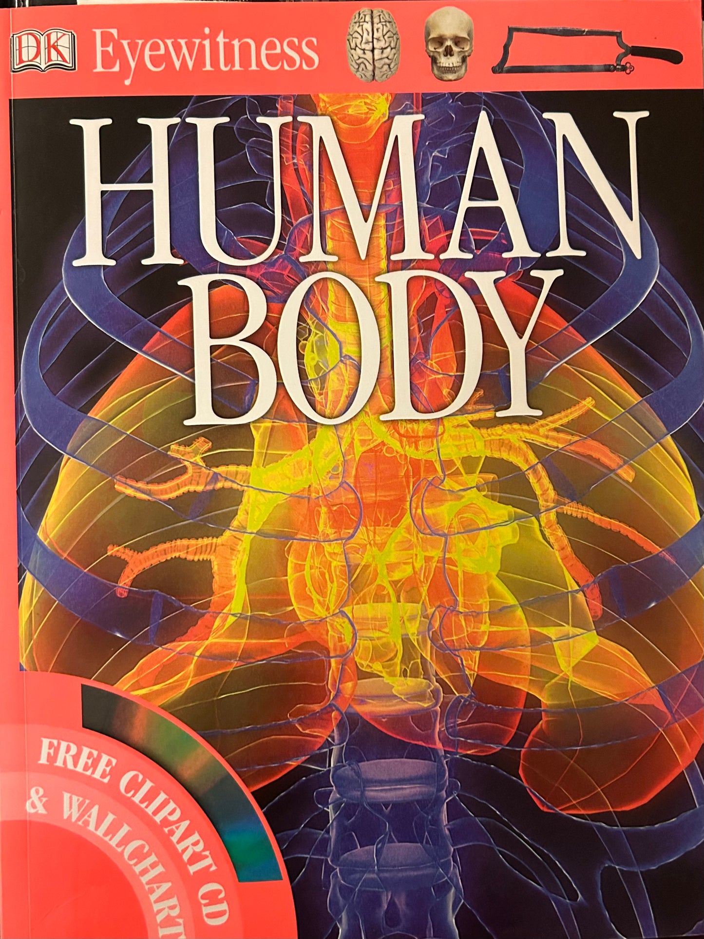 Eyewitness: Human Body( Softcover)