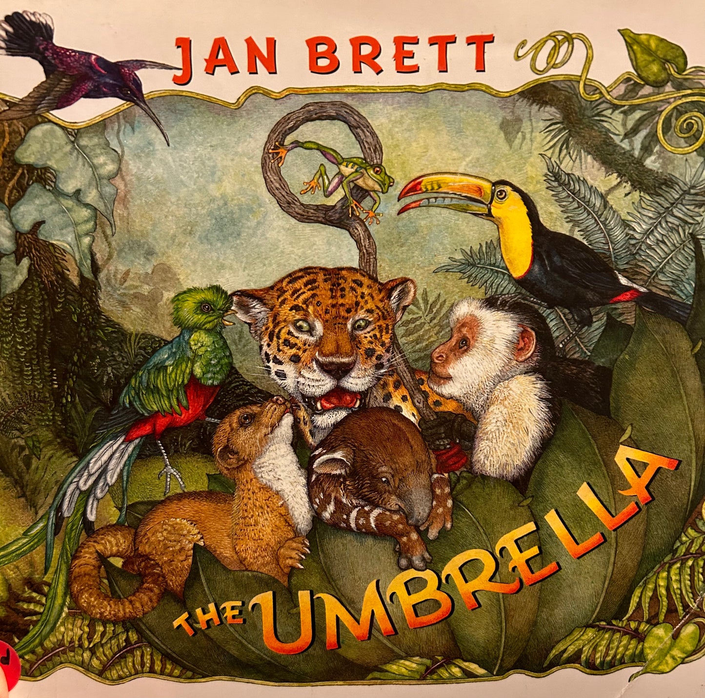 Jan Brett: The umbrella