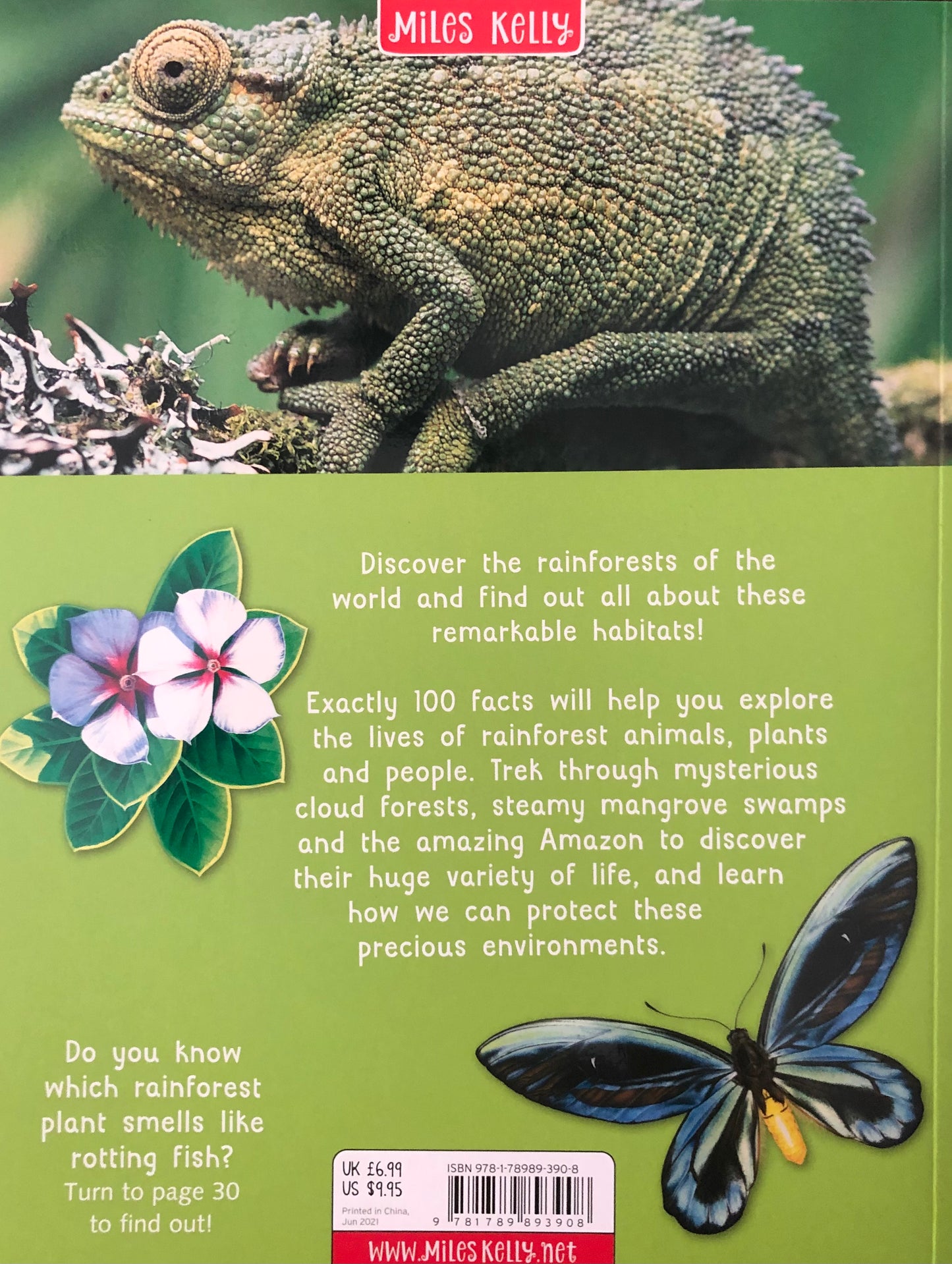 Miles Kelly 100 Facts Rainforests