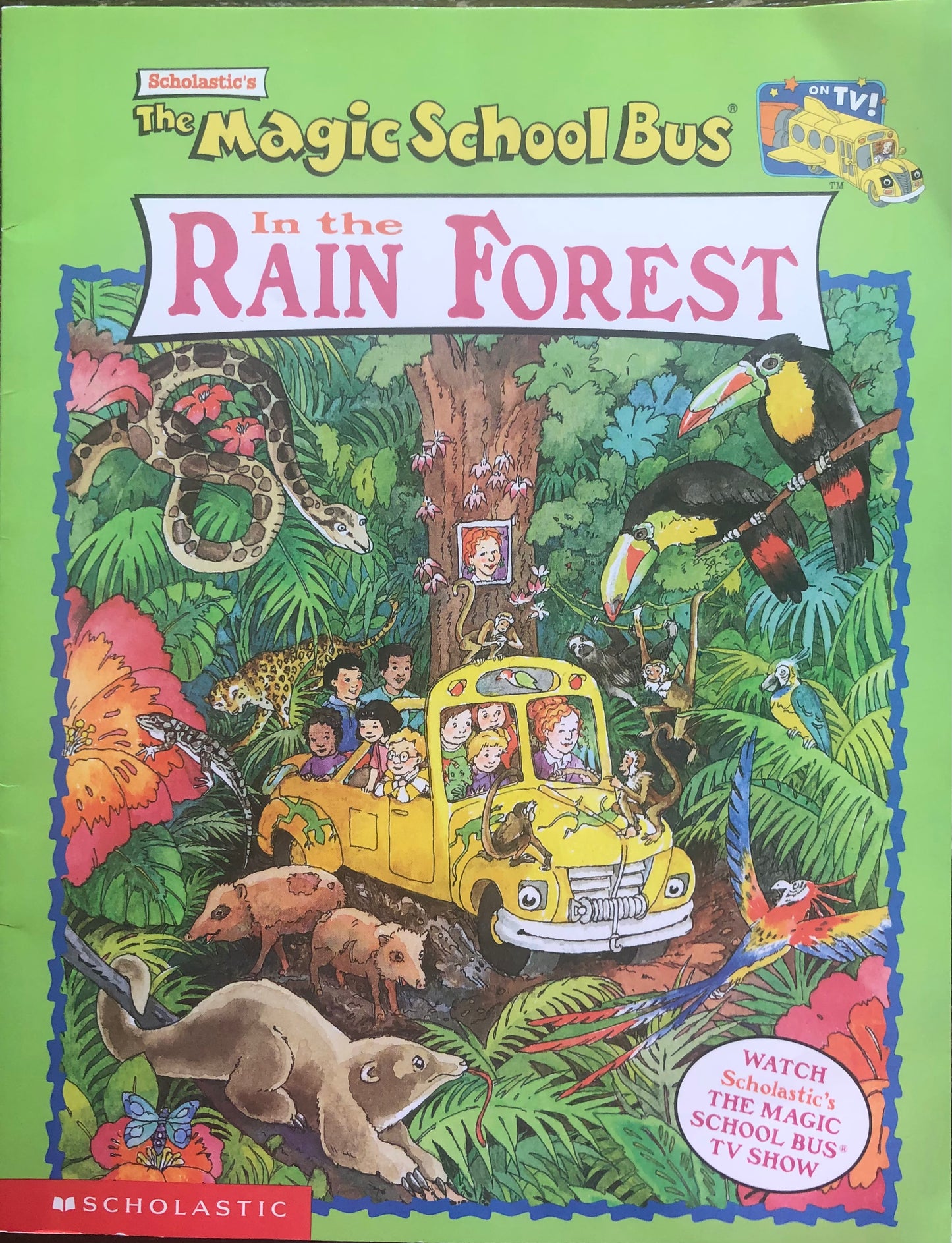 Magic School Bus - In the Rain Forest