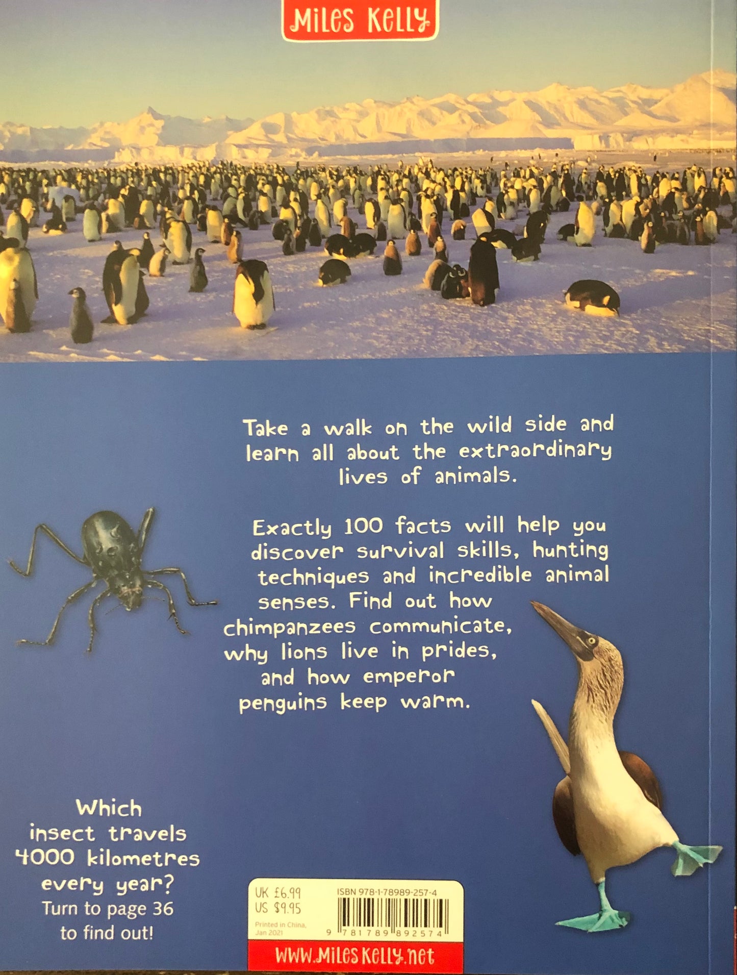 Miles Kelly 100 Facts Animal Life