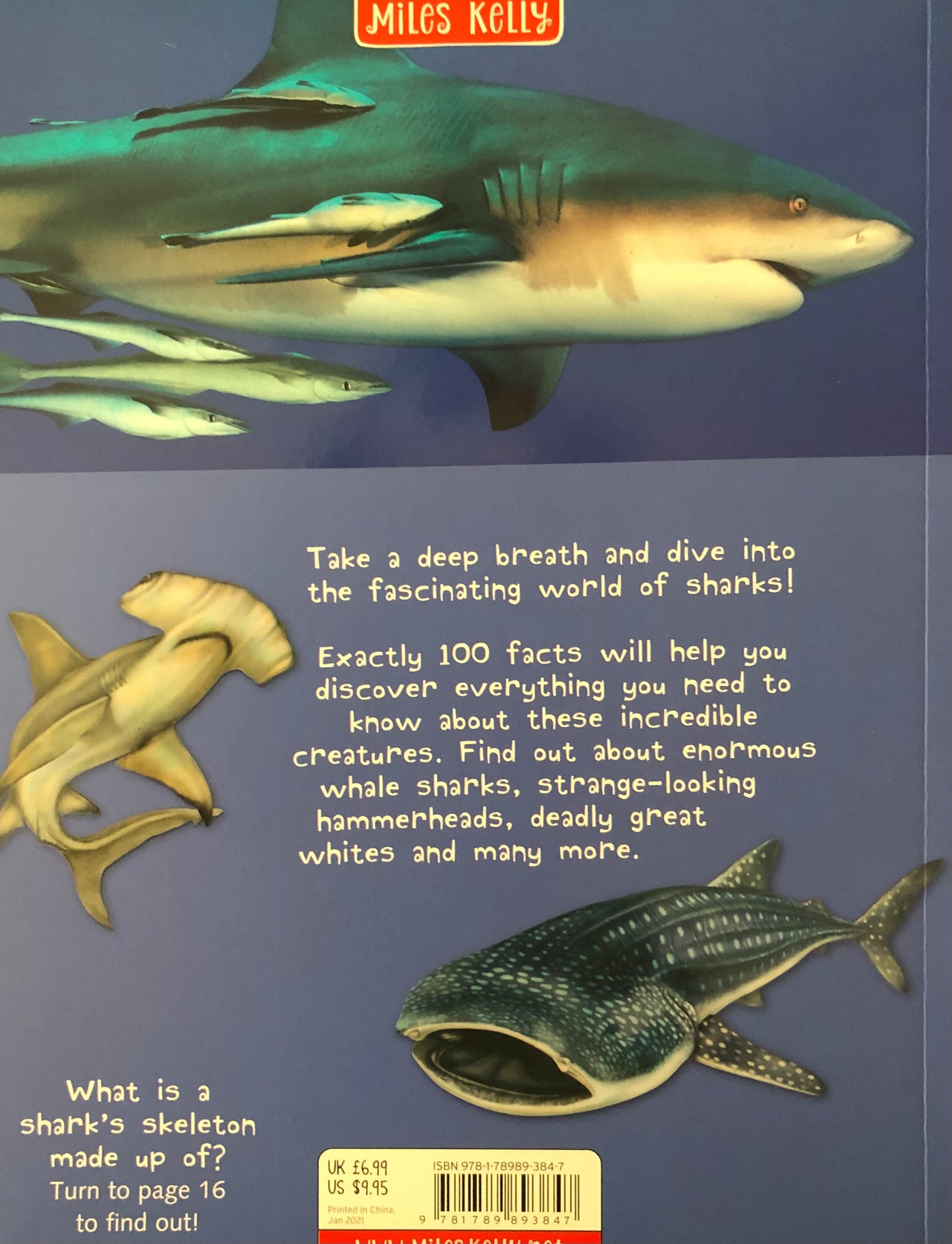 Miles Kelly 100 Facts Sharks