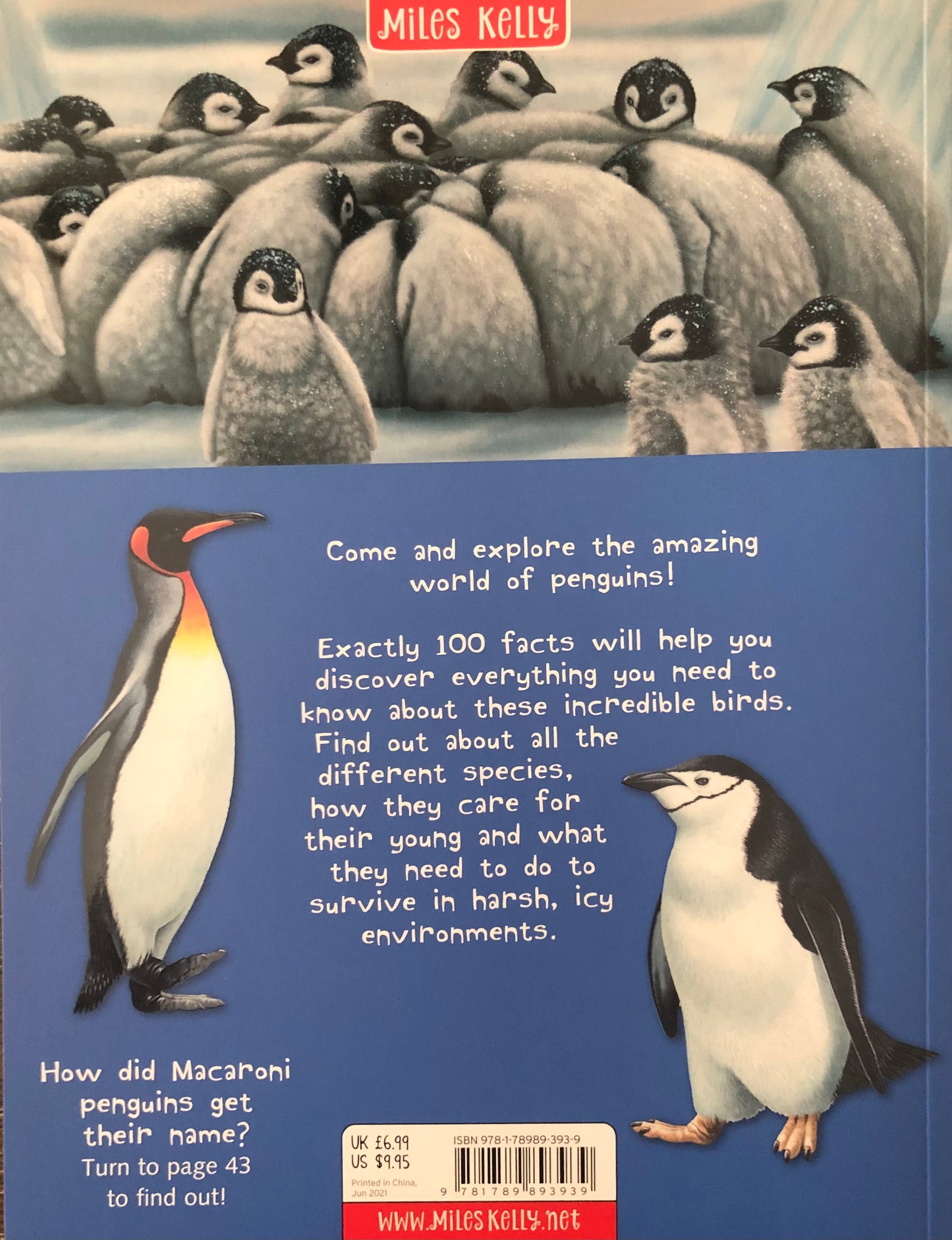 Miles Kelly 100 Facts Penguins