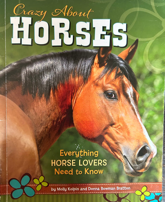 Crazy about horses Everything Horse Lovers need to know