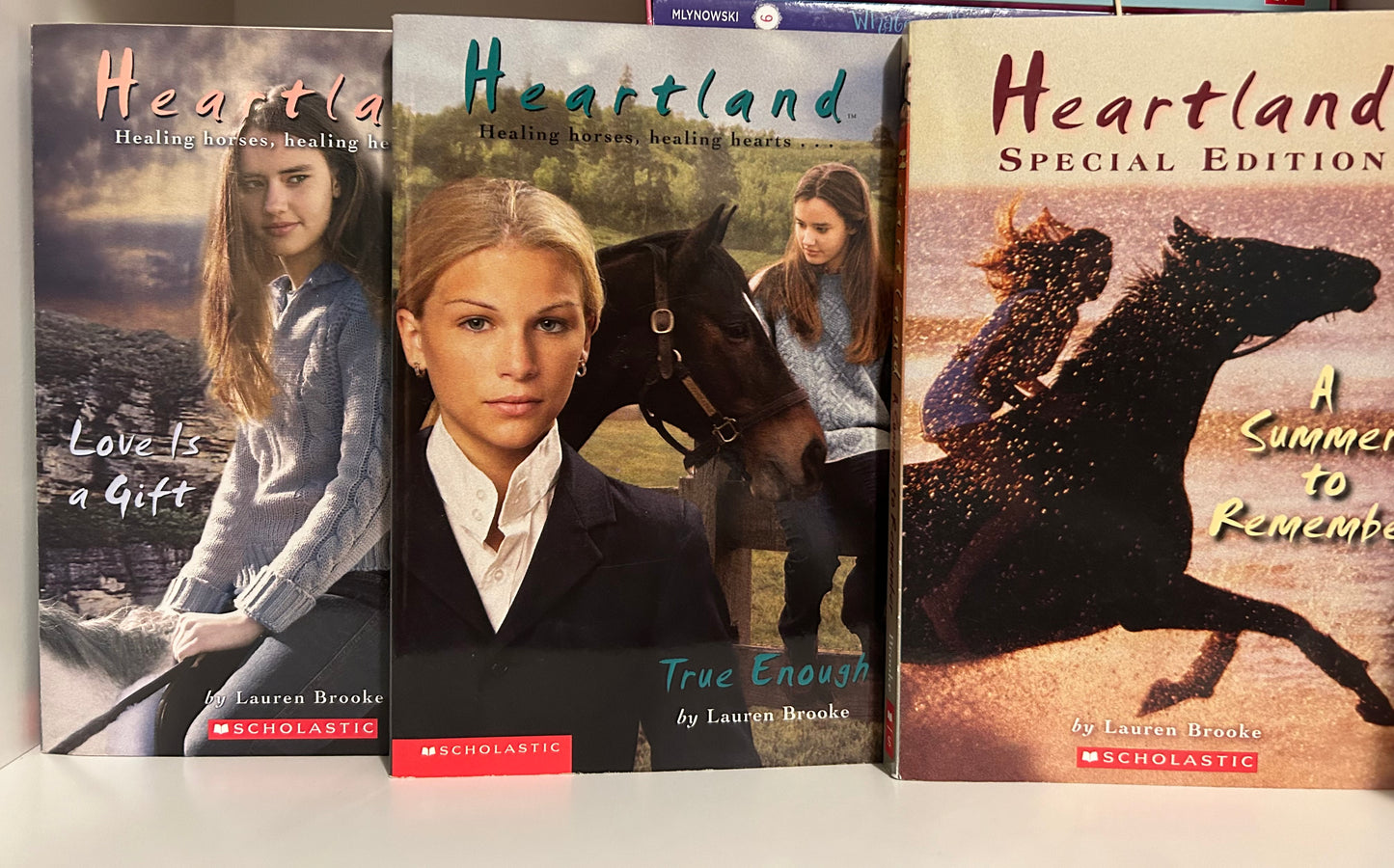 Heartland Series Books by Lauren Brooke (4 books)