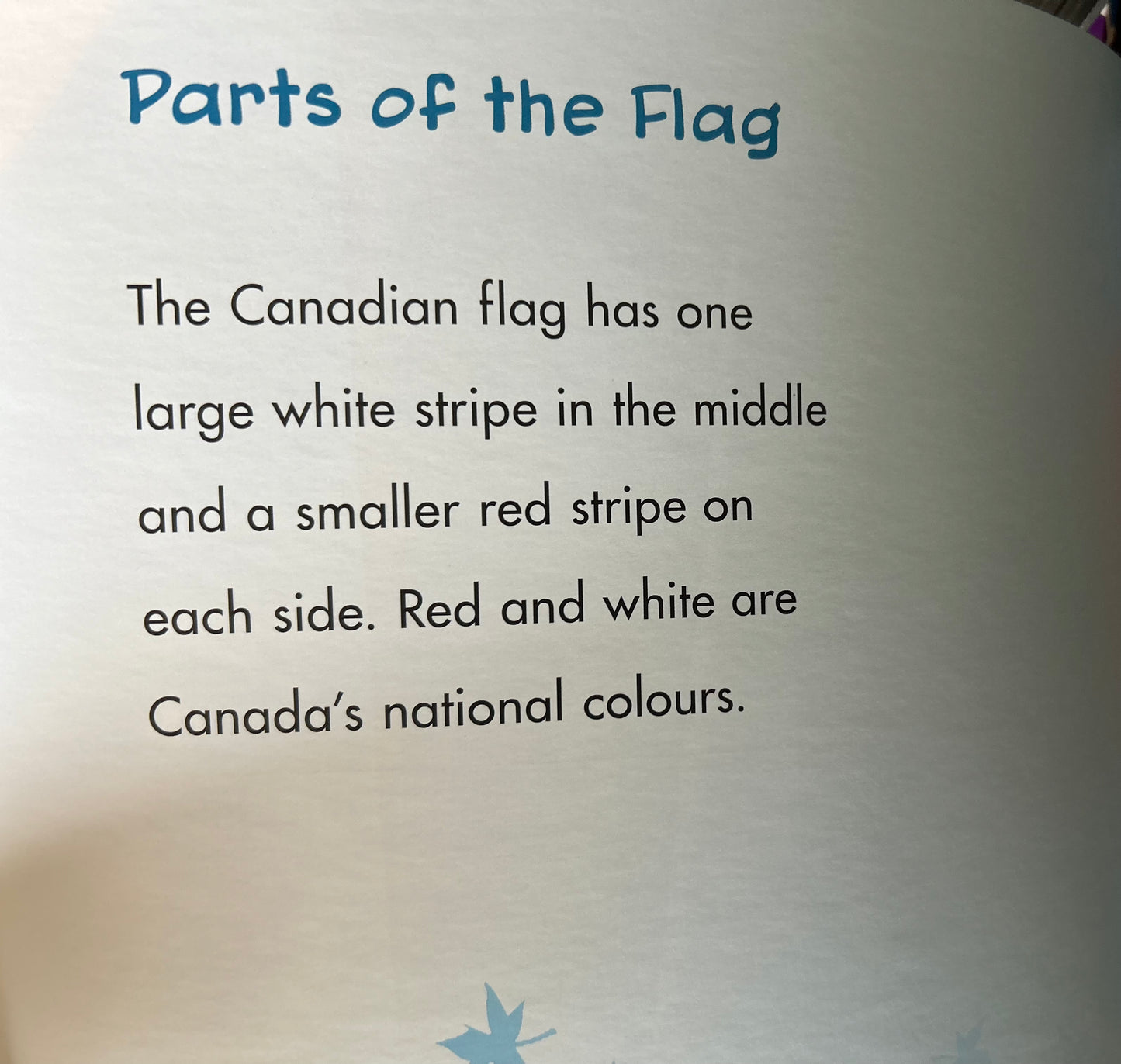 The Canadian Flag