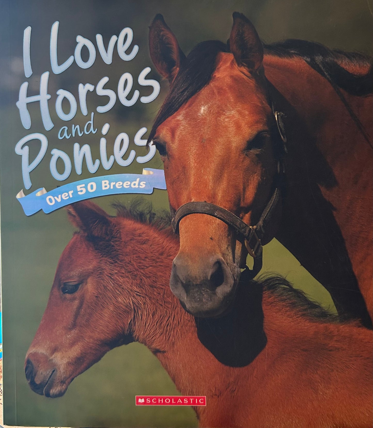 I Love Horses and Ponies, Over 50 Breeds
by Scholastic