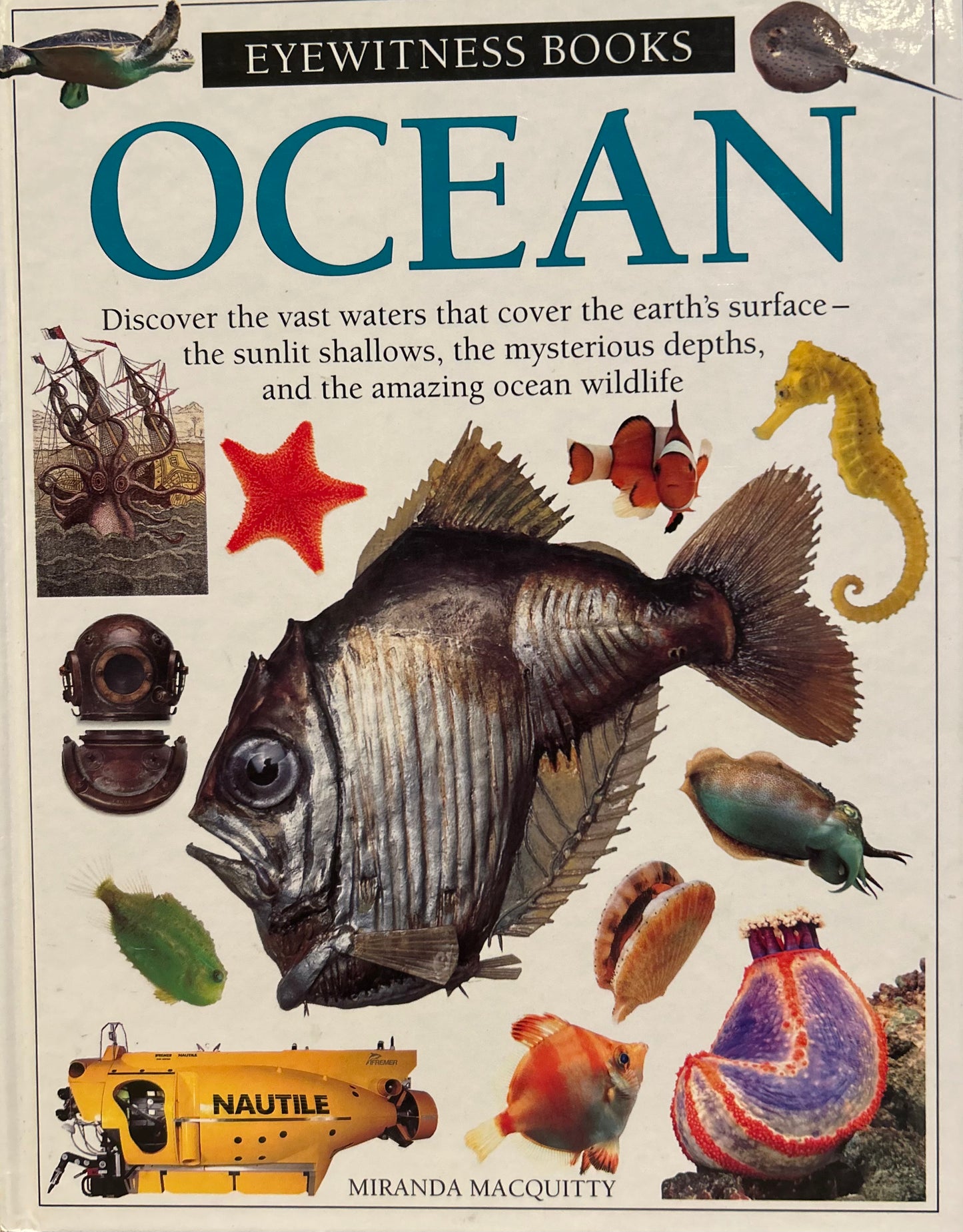 Eyewitness Books: Ocean