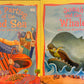 Bible Story Books (9 books)