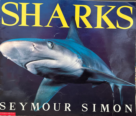 Sharks by Seymour Simon