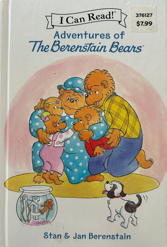 Adventures of the Berenstain Bears