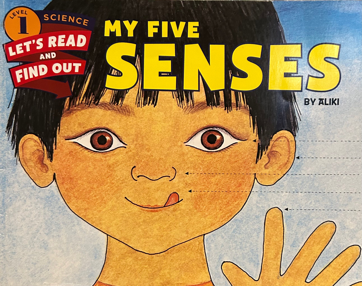 My five senses