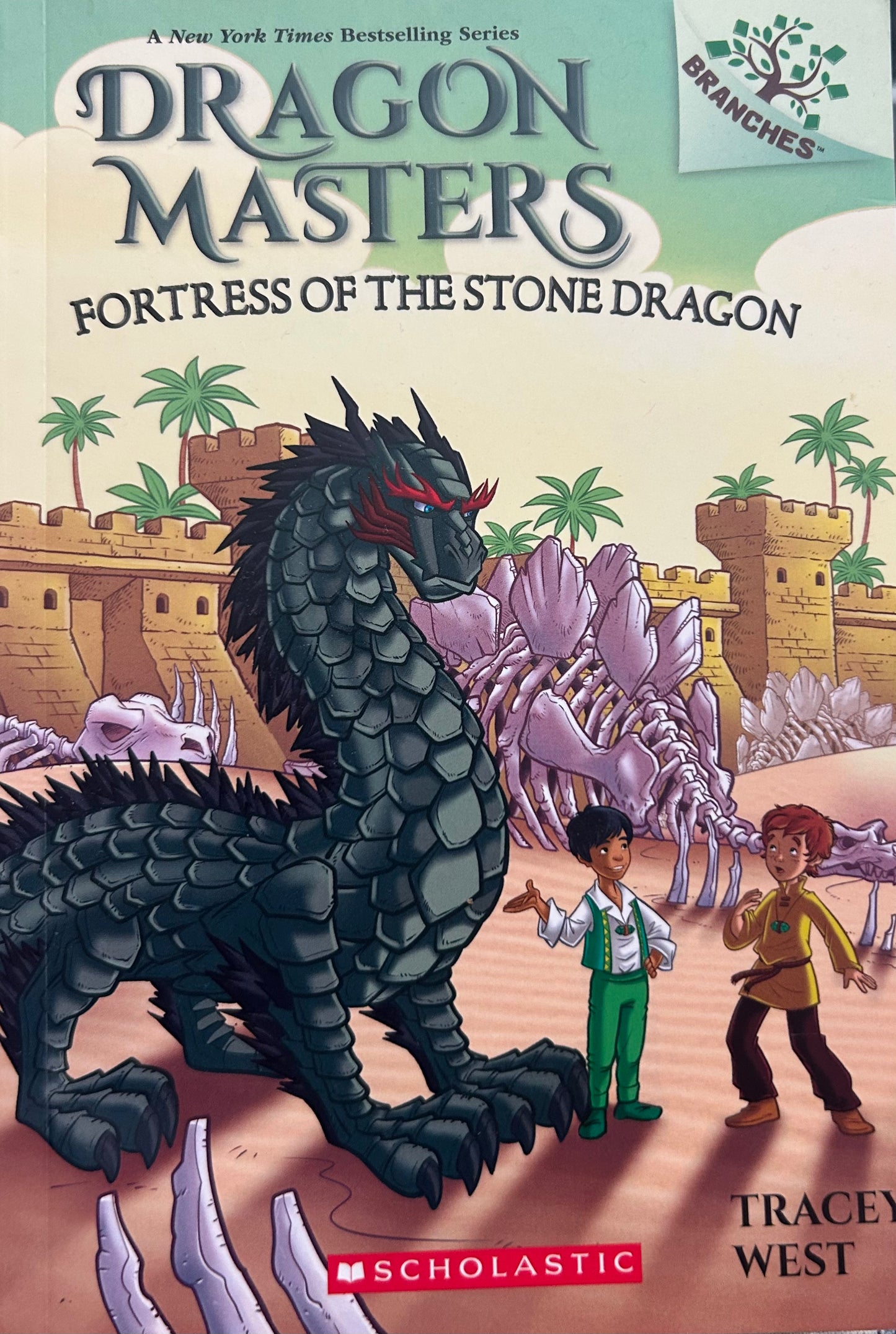 Dragon Masters Books by Tracey West (set of 3 books)