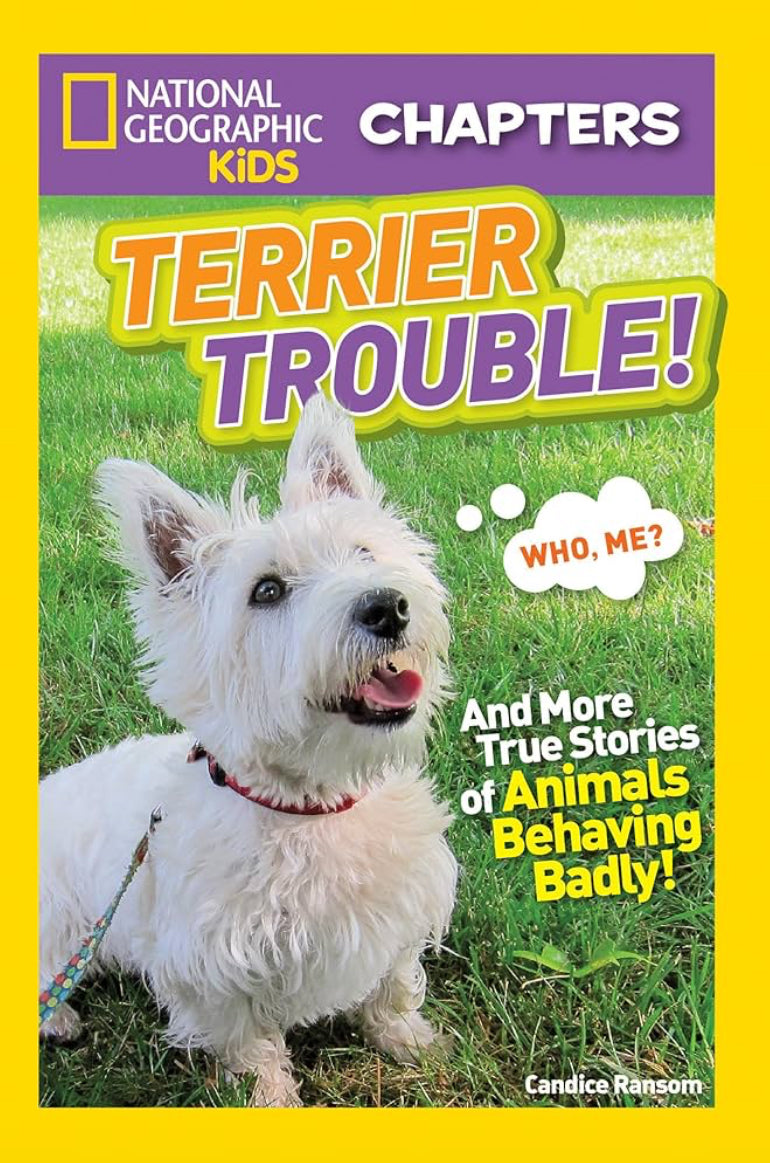 National Geographic Kids Chapters Series