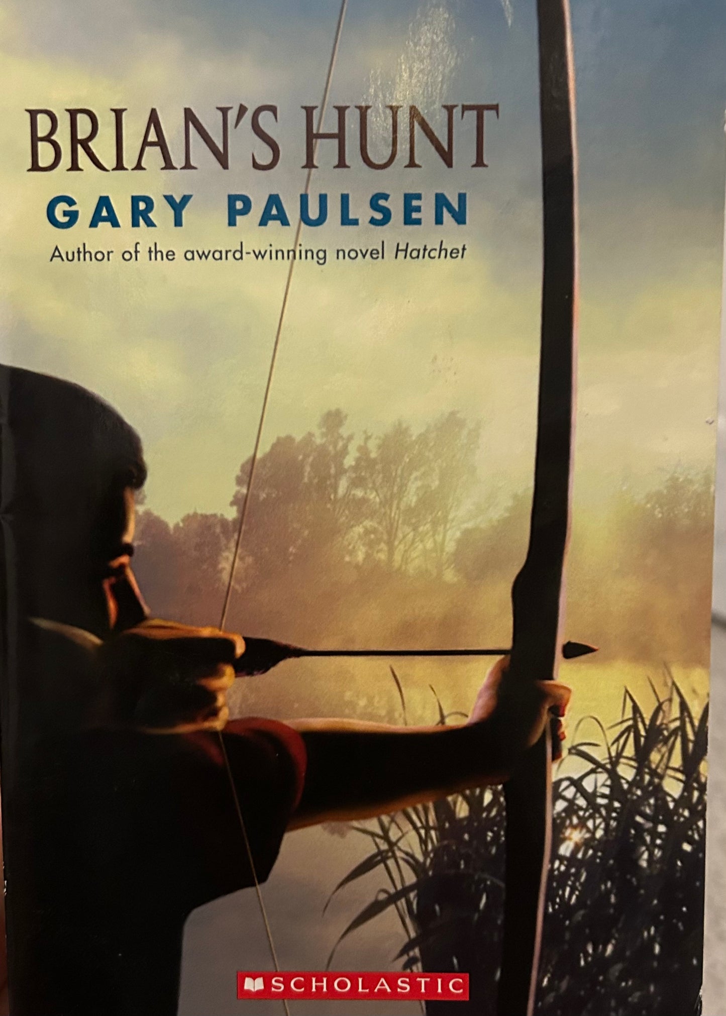 Hatchet Series by Gary Paulsen