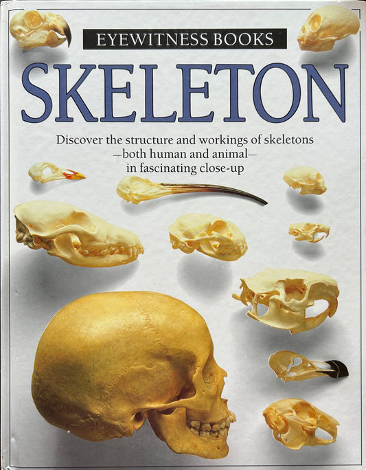 Eyewitness Books: Skeleton