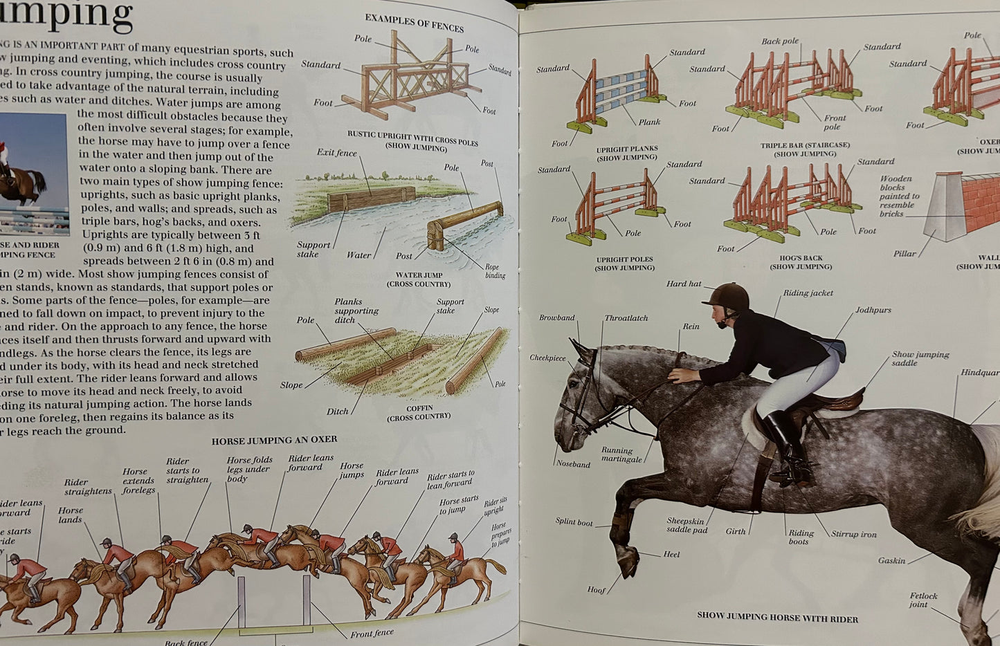 Eyewitness Visual Dictionaries: The Visual Dictionary of the Horse