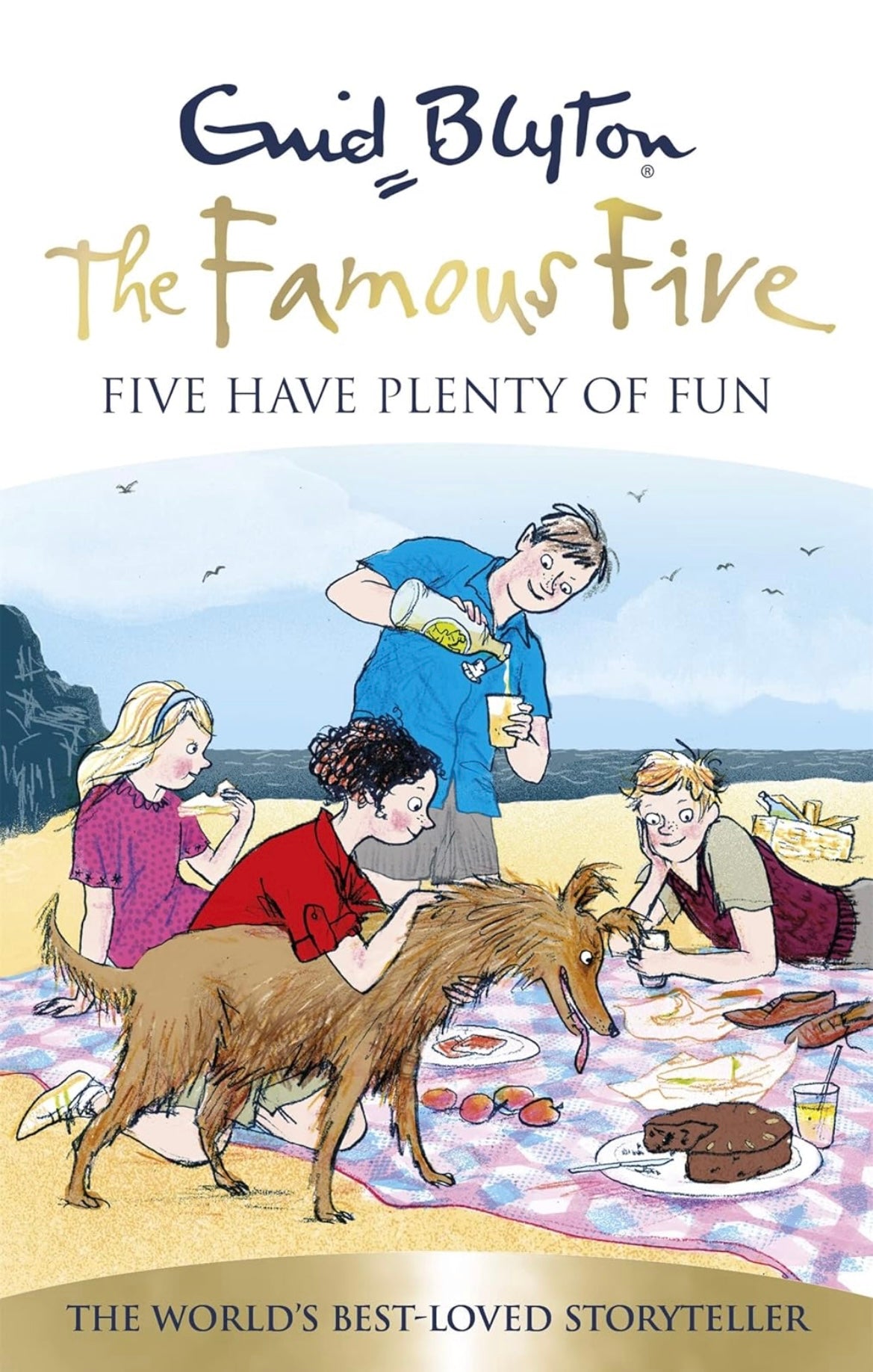 Five Have Plenty Of Fun by Enid Blyton