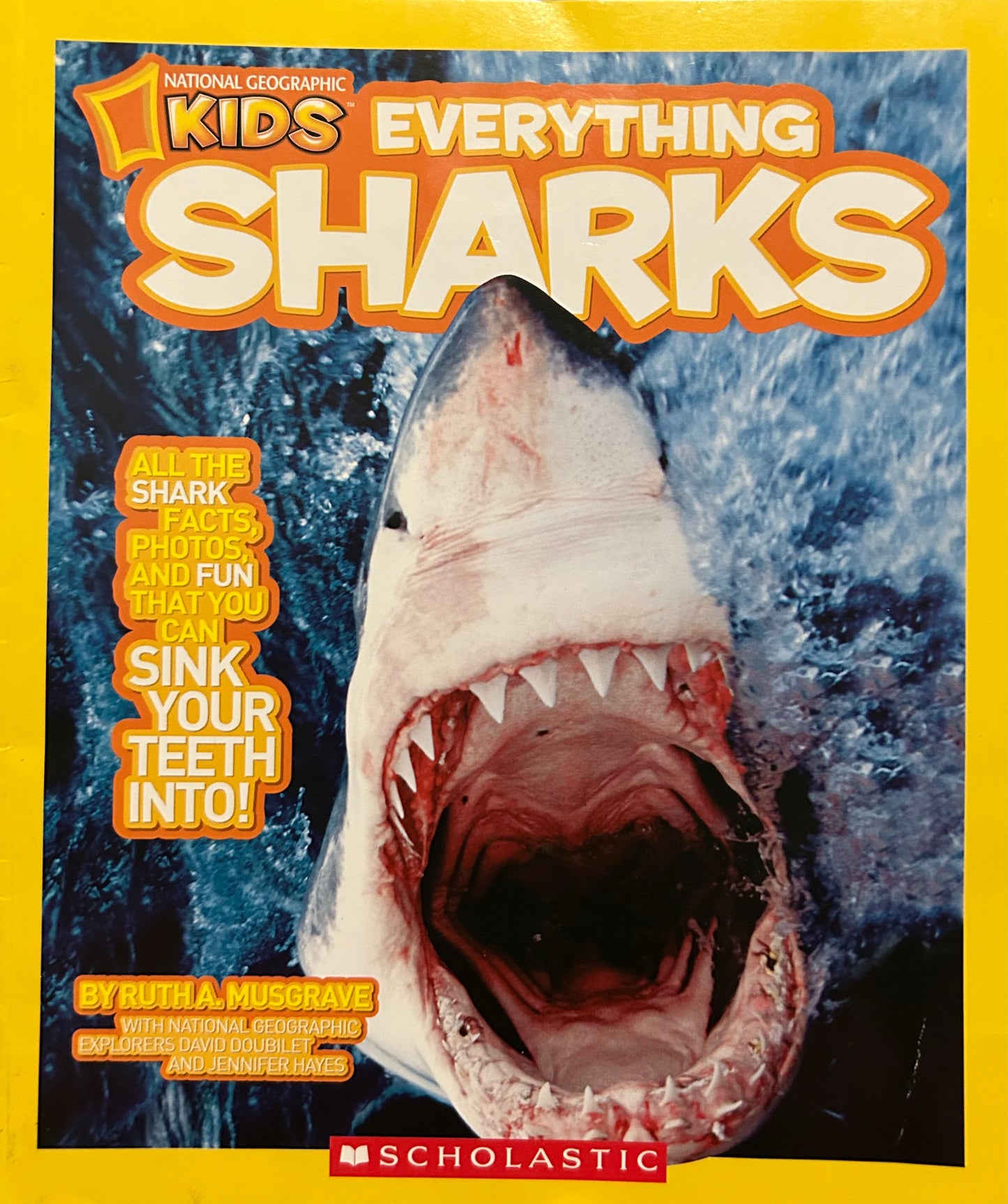 National Geographic Kids Everything Sharks