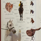 Eyewitness Visual Dictionaries: The Visual Dictionary of the Horse